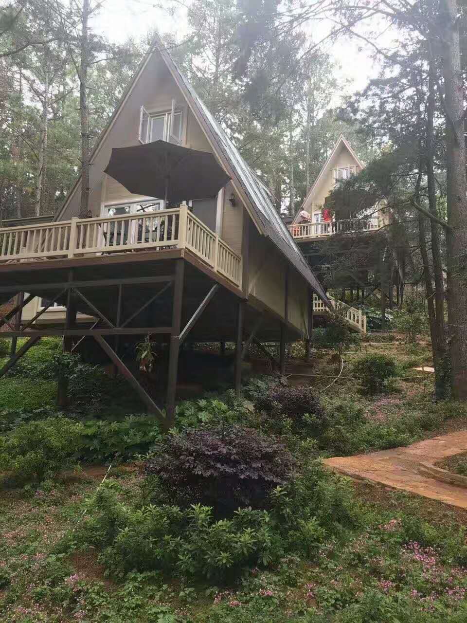 4749铁l算盘资料大全