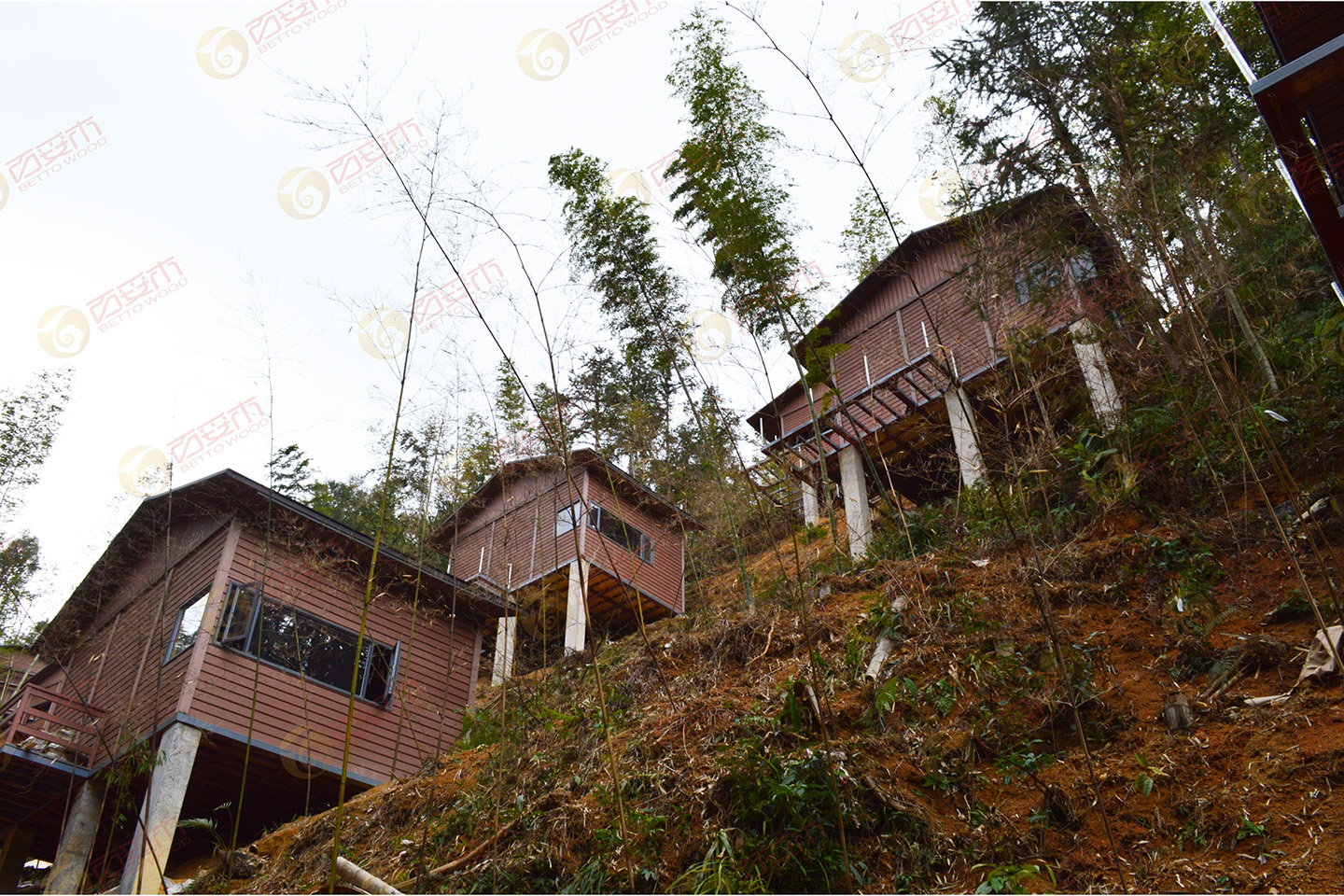 4749铁l算盘资料大全