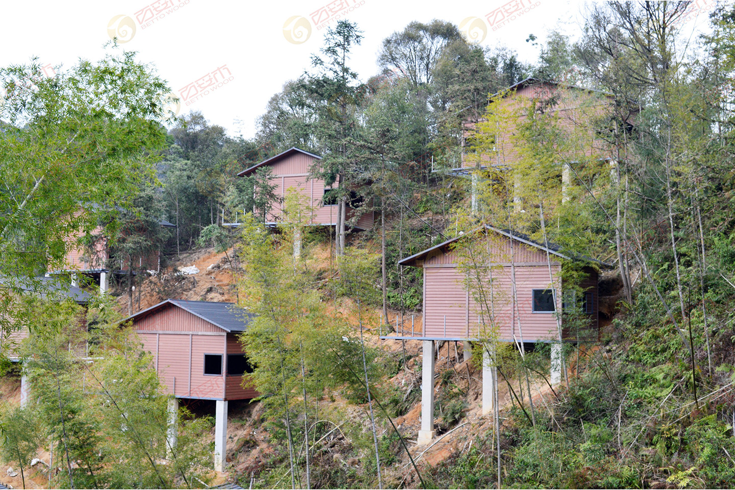 4749铁l算盘资料大全