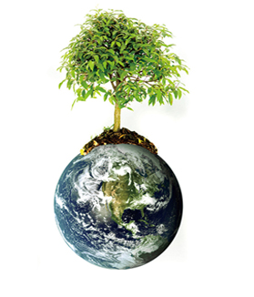 4749铁l算盘资料大全