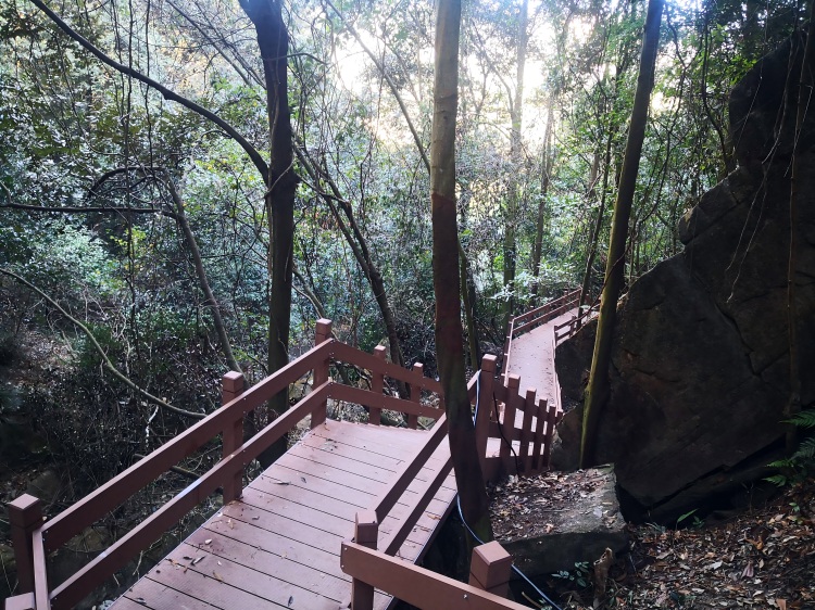 防腐木vs百妥木塑木户外建材选择全对比